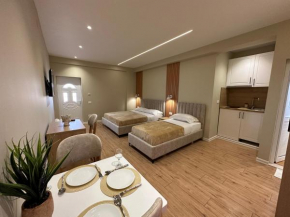 Arial Lofts